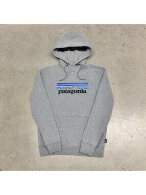 Patagonia Men's Grey and Multi Hoody